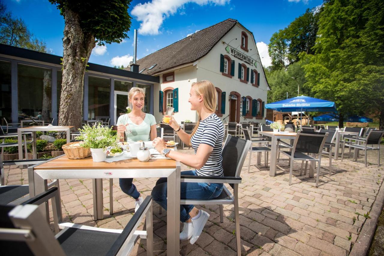 Landhotel Weihermuehle Thaleischweiler-Froschen Exteriér fotografie