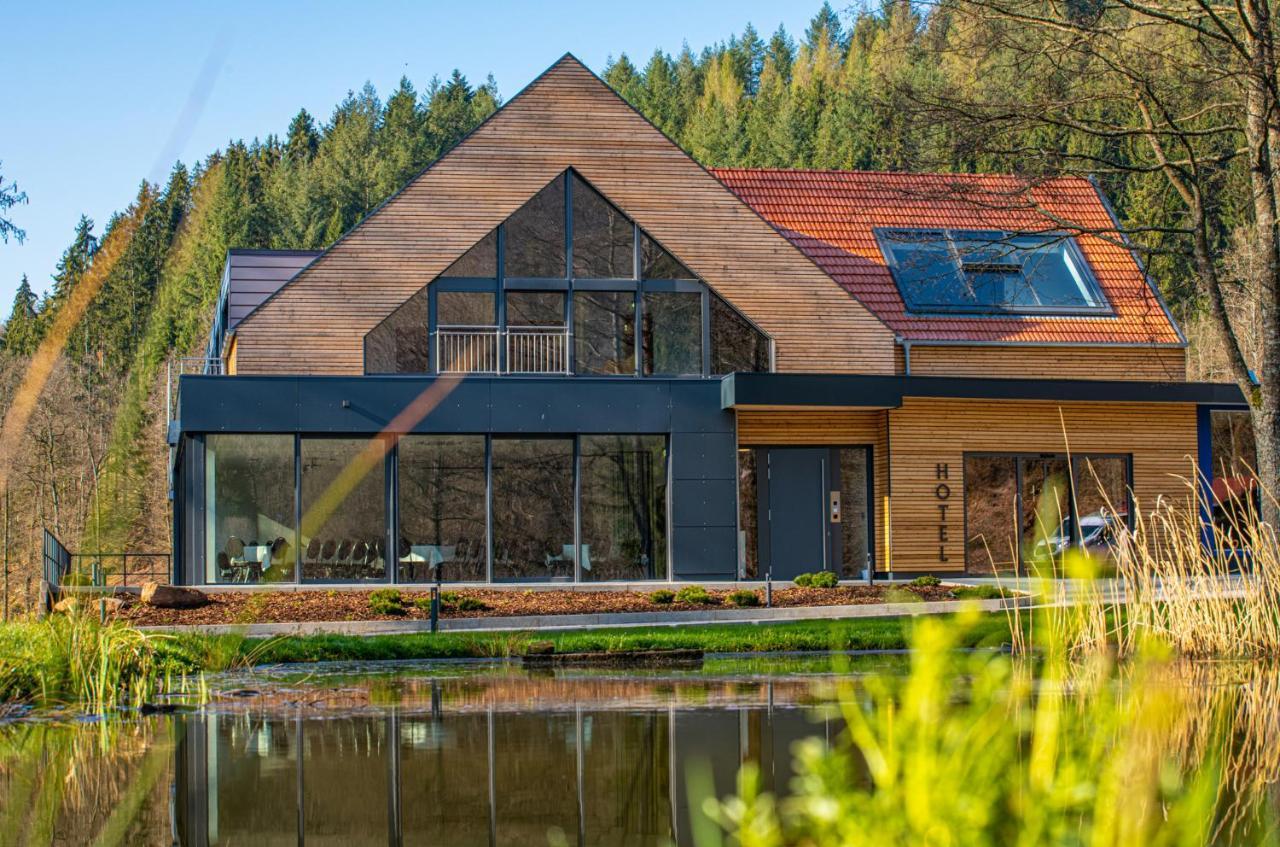 Landhotel Weihermuehle Thaleischweiler-Froschen Exteriér fotografie