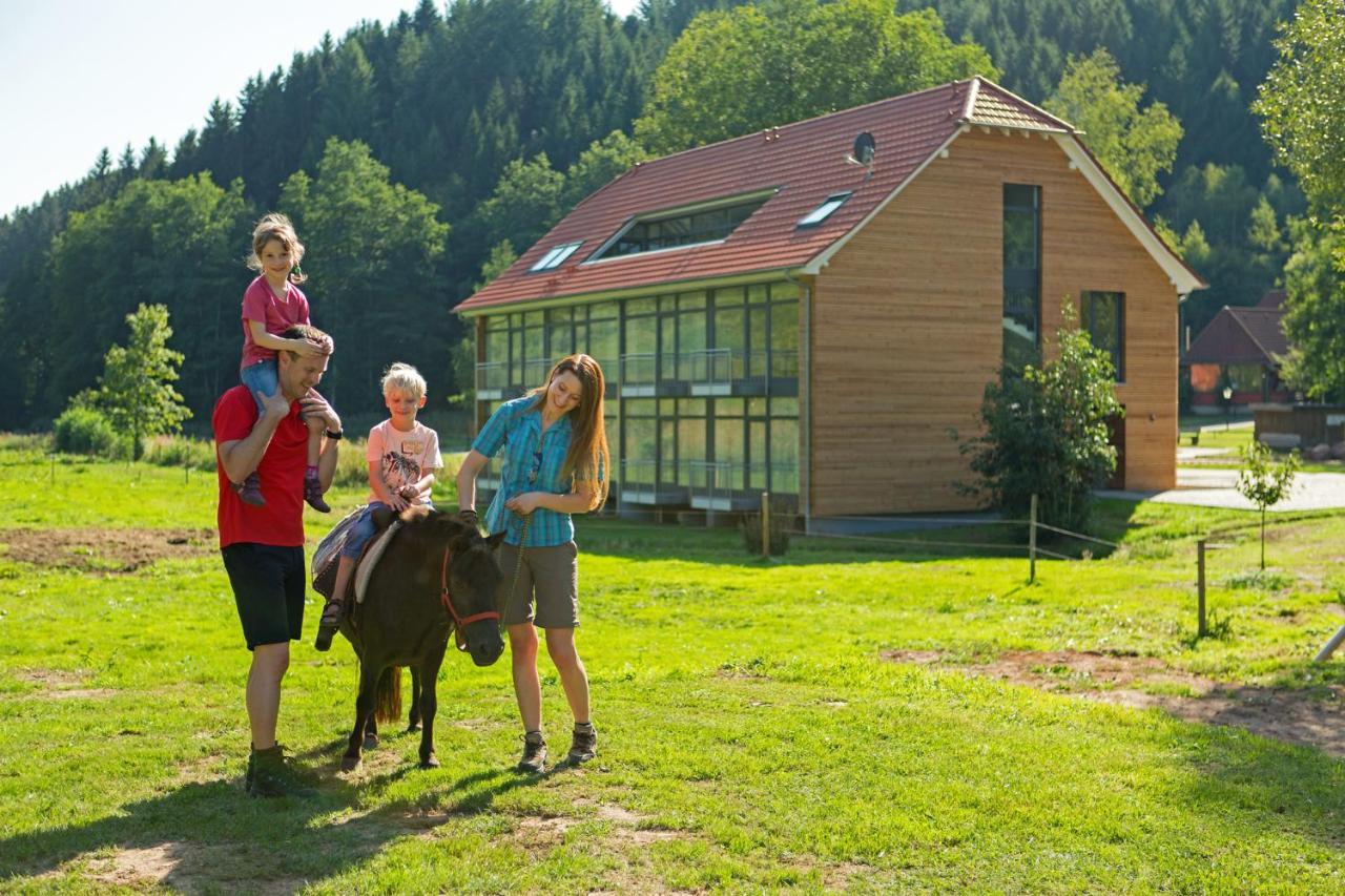 Landhotel Weihermuehle Thaleischweiler-Froschen Exteriér fotografie