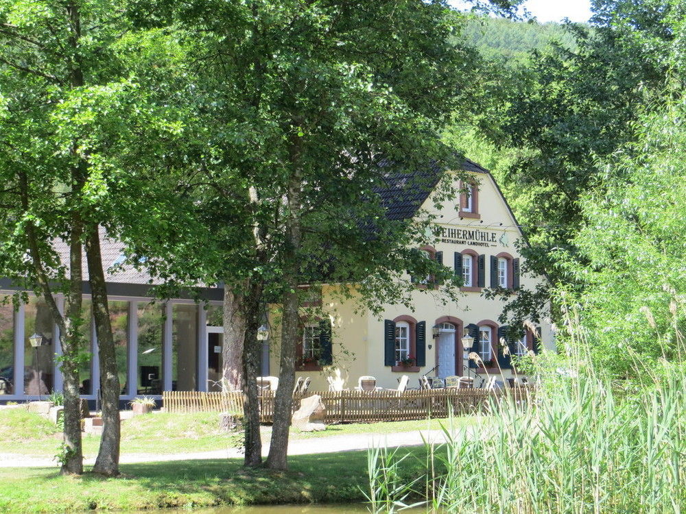 Landhotel Weihermuehle Thaleischweiler-Froschen Exteriér fotografie